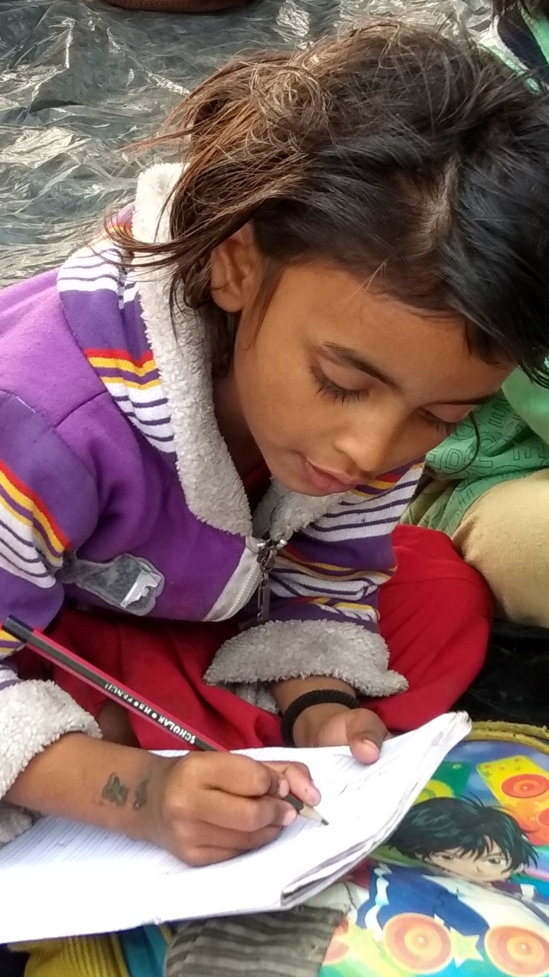 NanhePakshi_Sattvista_1080_1920 (6)